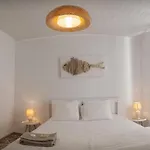 Main House بيت للعطل
