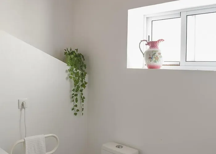 Main House Semesterbostad Água de Alto